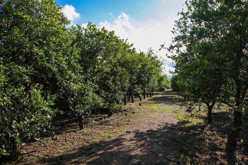 הוילה ריפוסטו Agriturismo Galea מראה חיצוני תמונה