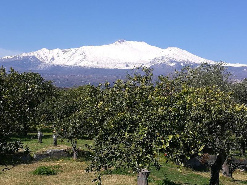 הוילה ריפוסטו Agriturismo Galea מראה חיצוני תמונה