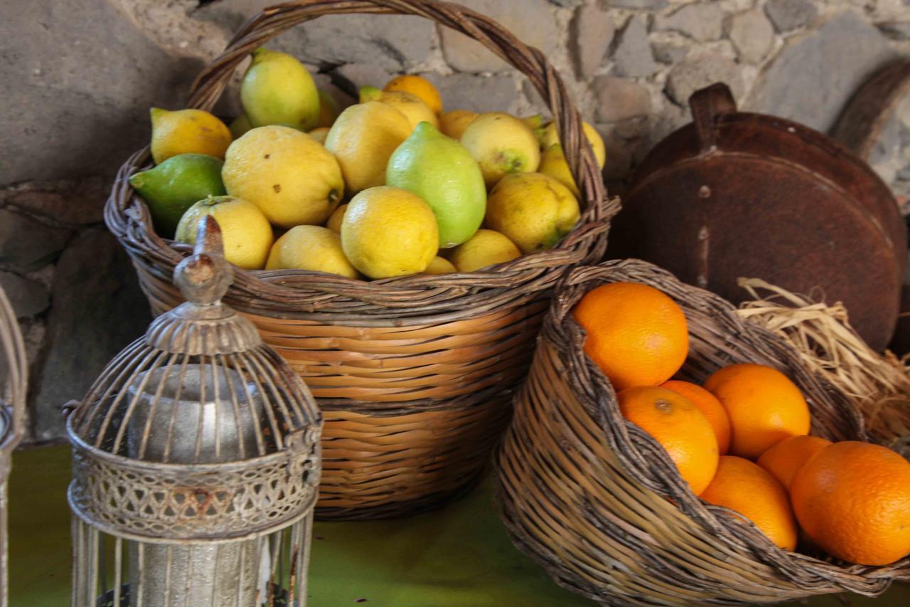 הוילה ריפוסטו Agriturismo Galea מראה חיצוני תמונה